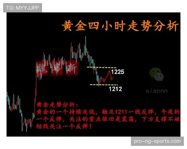 篮球规则解析：手部接触判定的合法性与犯规界限